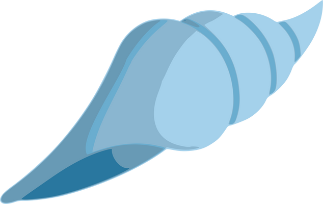 Illustration of Seashell